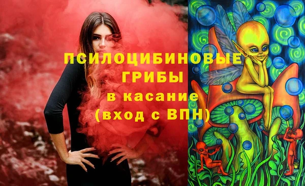 ГАЛЛЮЦИНОГЕННЫЕ ГРИБЫ Баксан